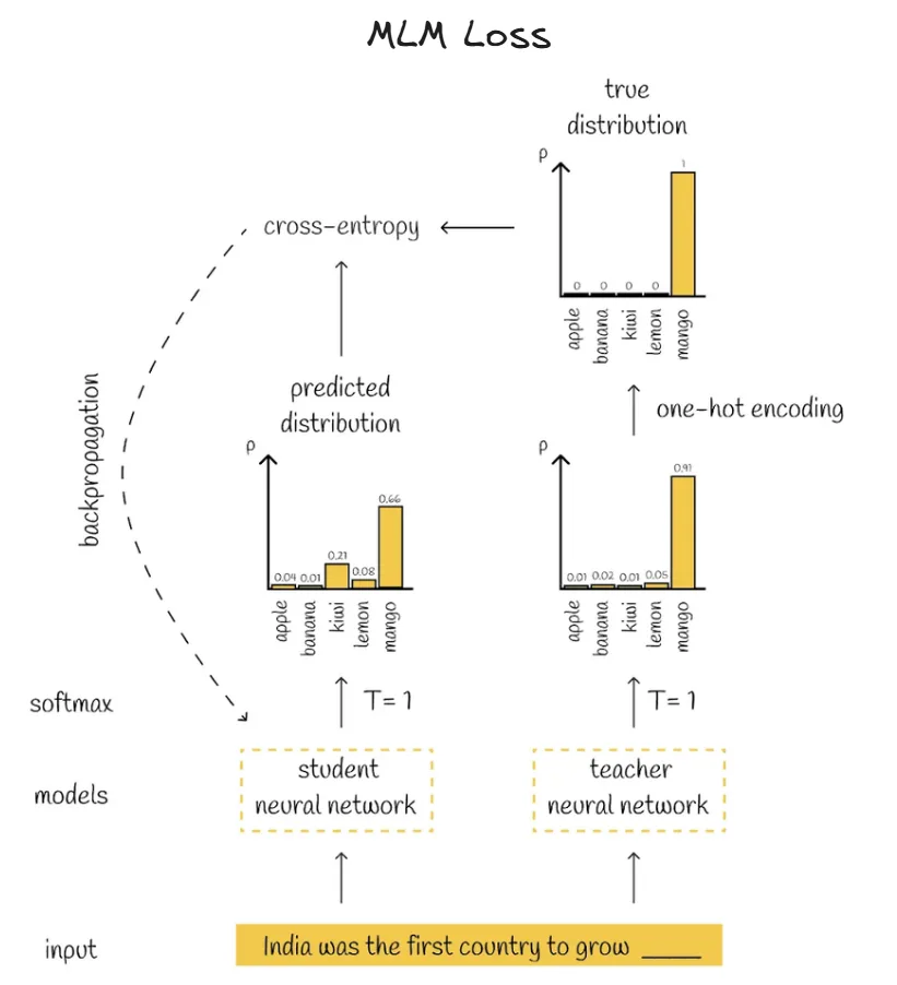 Image of MLM Loss