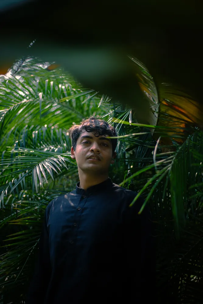 Among the Palms